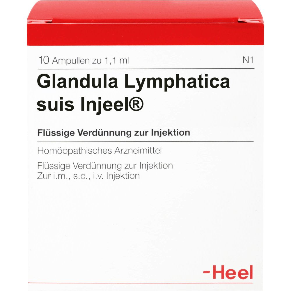 Das Produktfoto zeigt Glandula Lymphatica Suis Injeel Ampullen (10 stk) PZN 00420558