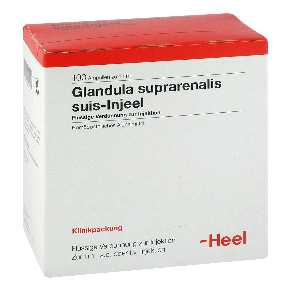 Das Produktfoto zeigt Glandula Suprarenalis Suis Injeel Ampullen (100 stk) PZN 00420972