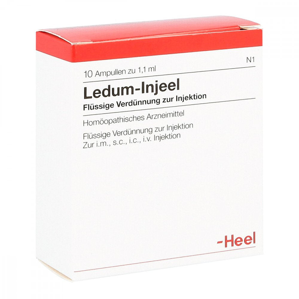 Das Produktfoto zeigt Ledum Injeel Ampullen (10 stk) PZN 00621920