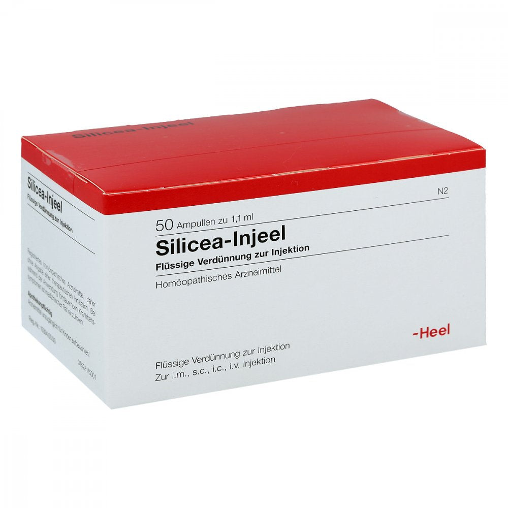 Das Produktfoto zeigt Silicea Injeel Ampullen (50 stk) PZN 00935601