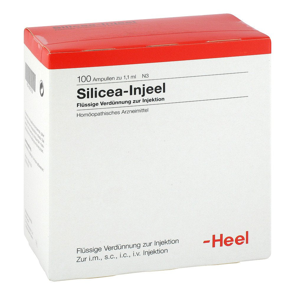 Das Produktfoto zeigt Silicea Injeel Ampullen (100 stk) PZN 00935618