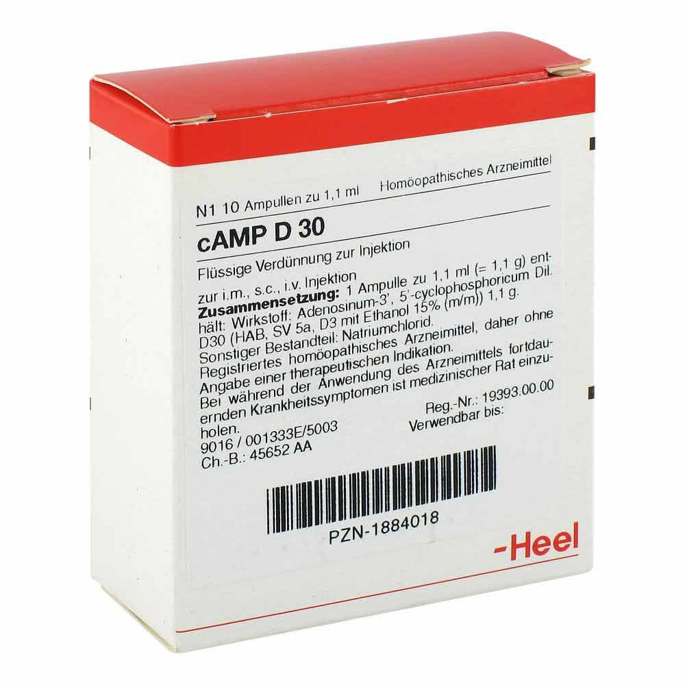 Camp D 30 Ampullen (10 stk)