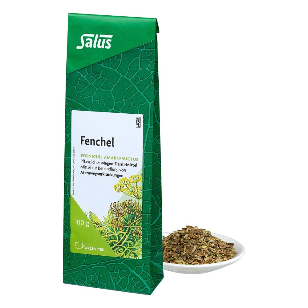 Fenchel Arzneitee Foeniculi Amari Fruct.Bio Salus (100 g)