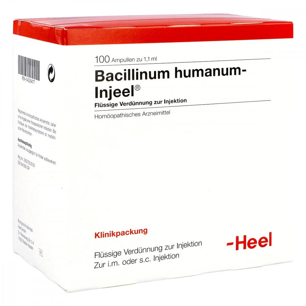 Das Produktfoto zeigt Bacillinum Humanum Injeel Ampullen (100 stk) PZN 04326477