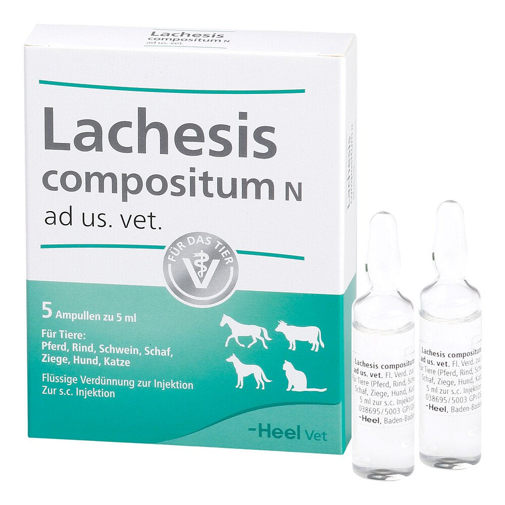 Das Produktfoto zeigt Lachesis Compositum N Ad Us.Vet.Ampullen (5 stk) PZN 00052824