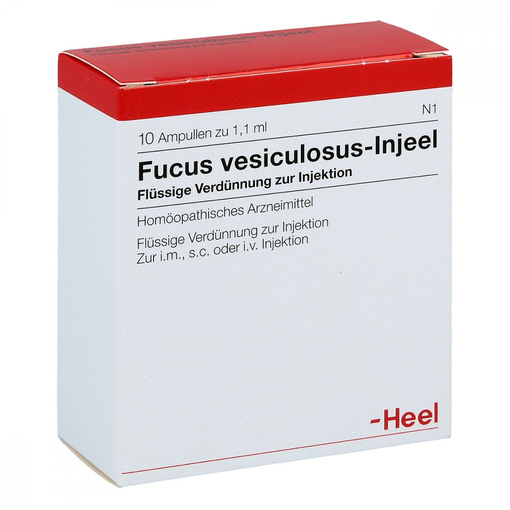 Fucus Vesiculosus Injeel Ampullen (10 stk)