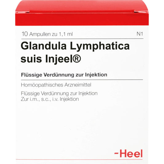 Das Produktfoto zeigt Glandula Lymphatica Suis Injeel Ampullen (10 stk) PZN 00420558