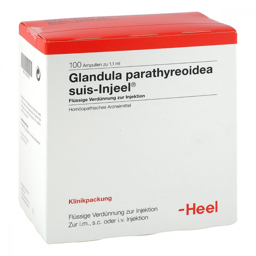 Das Produktfoto zeigt Glandula Parathyreoidea Suis Injeel Ampullen (100 stk) PZN 00420653