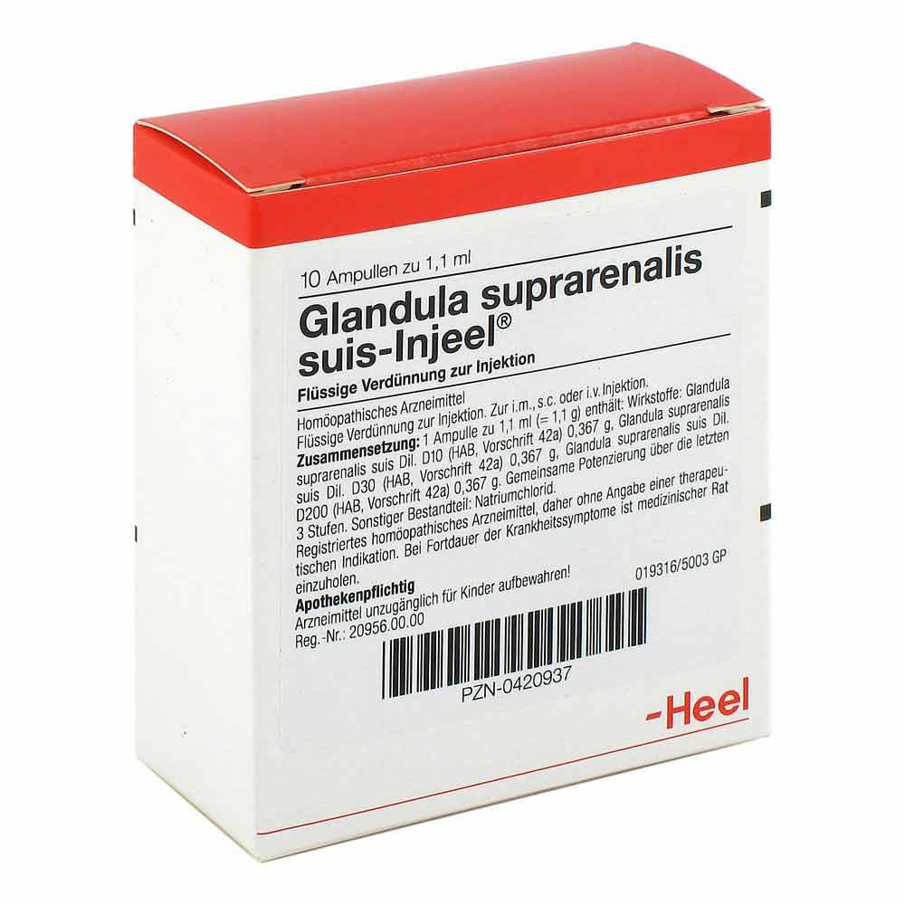 Glandula Suprarenalis Suis Injeel Ampullen (10 stk)