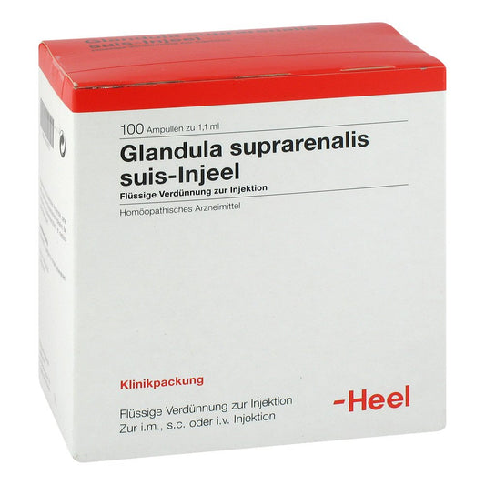 Das Produktfoto zeigt Glandula Suprarenalis Suis Injeel Ampullen (100 stk) PZN 00420972