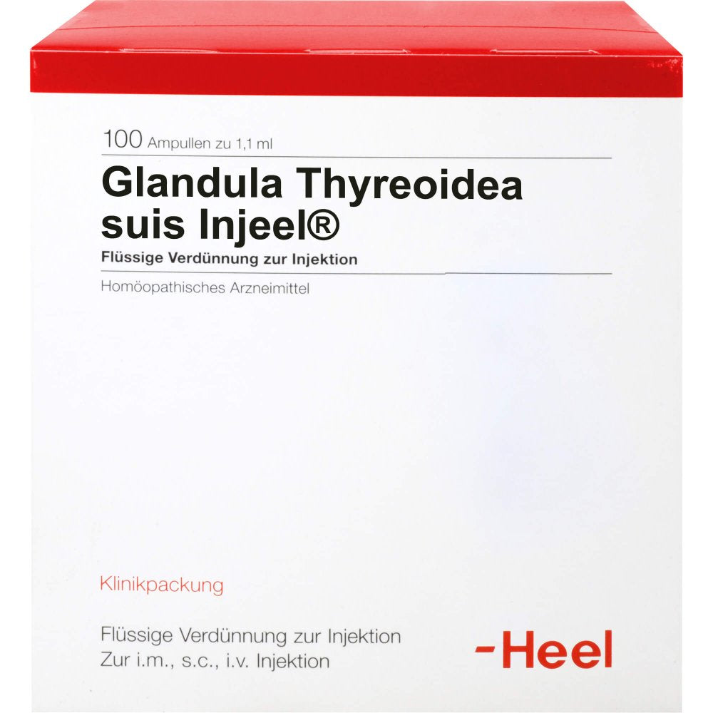 Das Produktfoto zeigt Glandula Thyreoidea Suis Injeel Ampullen (100 stk) PZN 00421339