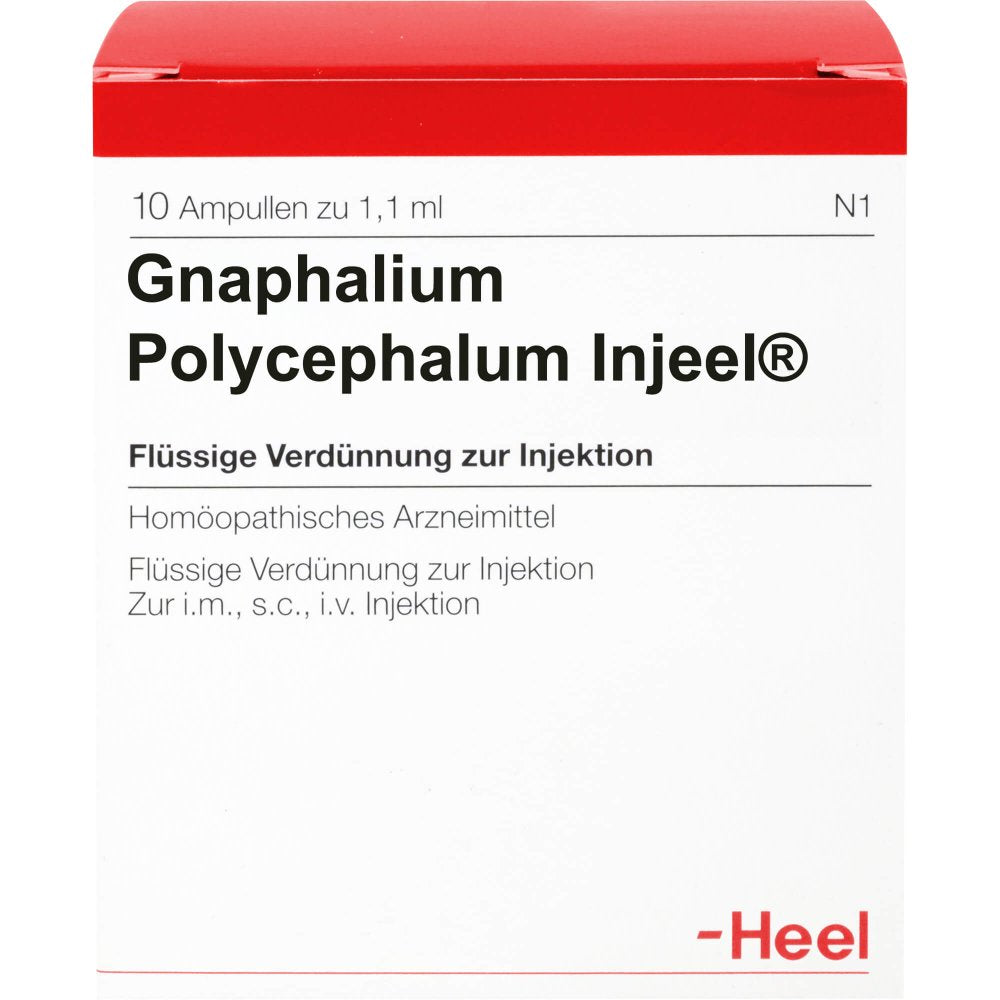 Das Produktfoto zeigt Gnaphalium Polycephalum Injeel Ampullen (10 stk) PZN 00428235