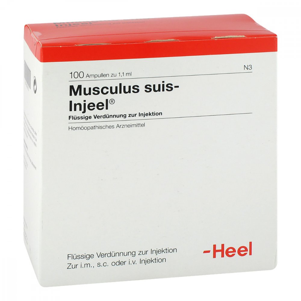 Das Produktfoto zeigt Musculus Suis Injeel Ampullen (100 stk) PZN 00693351