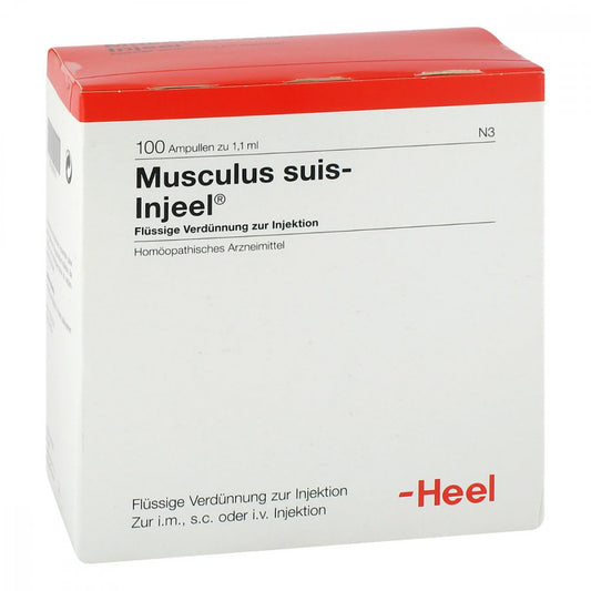 Das Produktfoto zeigt Musculus Suis Injeel Ampullen (100 stk) PZN 00693351