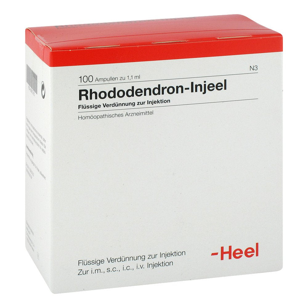 Das Produktfoto zeigt Rhododendron Injeel Ampullen (100 stk) PZN 00875425