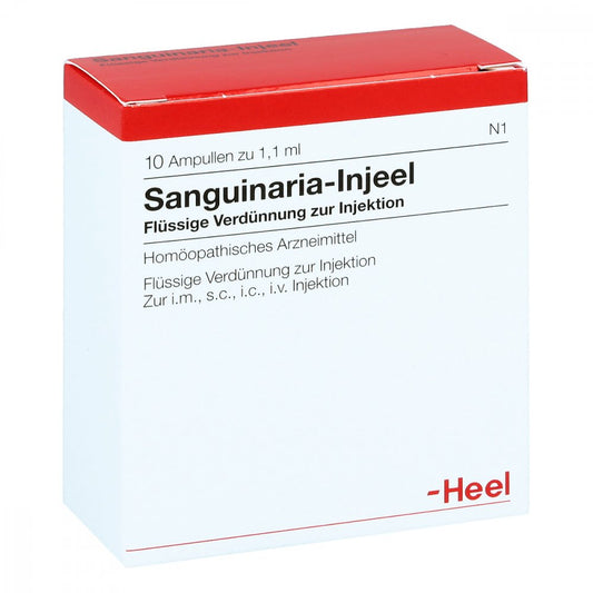 Das Produktfoto zeigt Sanguinaria Injeel Ampullen (10 stk) PZN 00903015