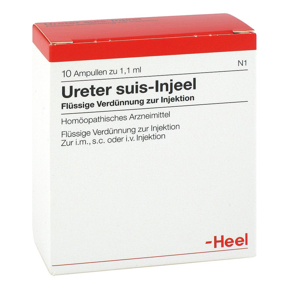 Das Produktfoto zeigt Ureter Suis Injeel Ampullen (10 stk) PZN 01065243
