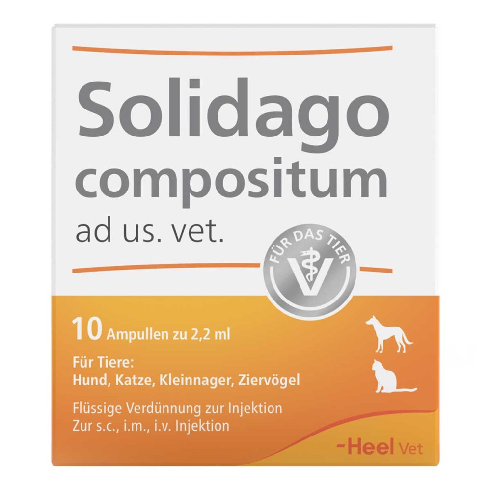 Das Produktfoto zeigt Solidago Compositum Ad Us.Vet.Ampullen (10 stk) PZN 01219864