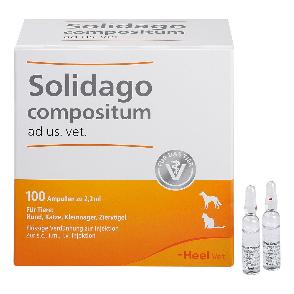 Das Produktfoto zeigt Solidago Compositum Ad Us.Vet.Ampullen (100 stk) PZN 01224090