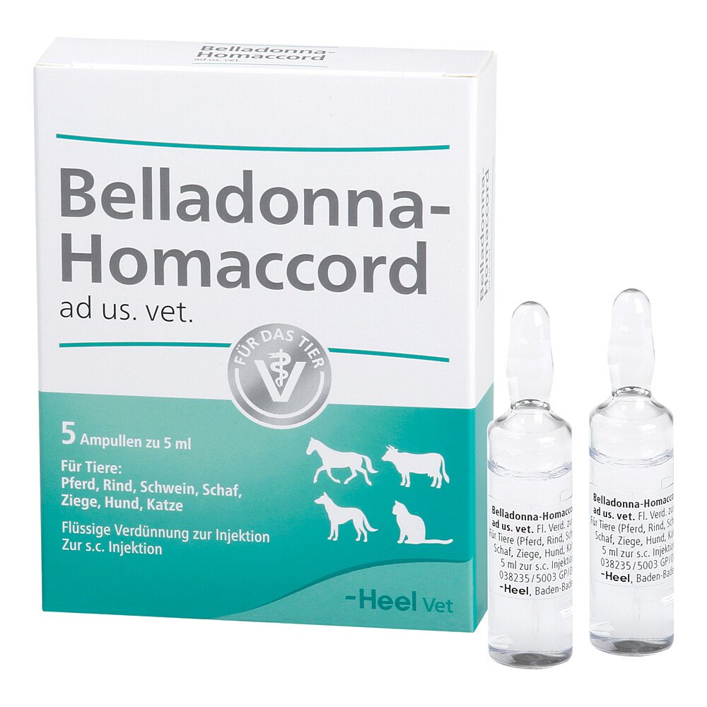 Das Produktfoto zeigt Belladonna Homaccord Ad Us.Vet.Ampullen (5 stk) PZN 02551626