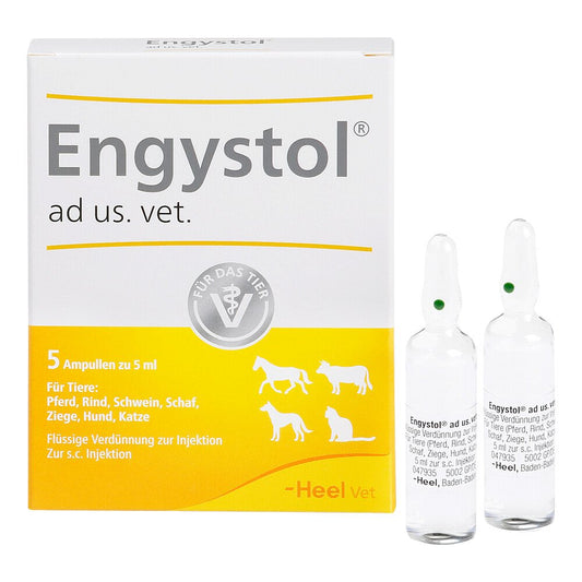 Das Produktfoto zeigt Engystol Ad Us.Vet.Ampullen (5 stk) PZN 02585051