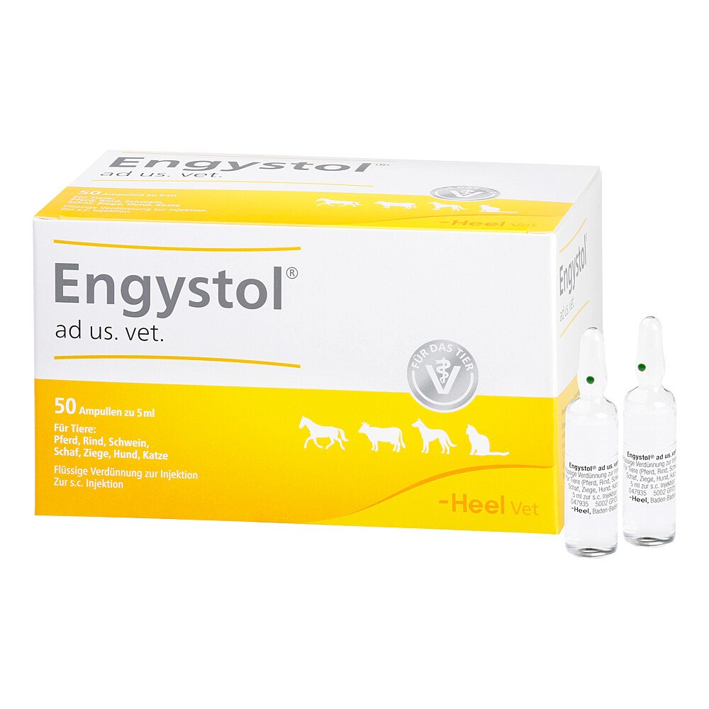 Das Produktfoto zeigt Engystol Ad Us.Vet.Ampullen (50 stk) PZN 02585068