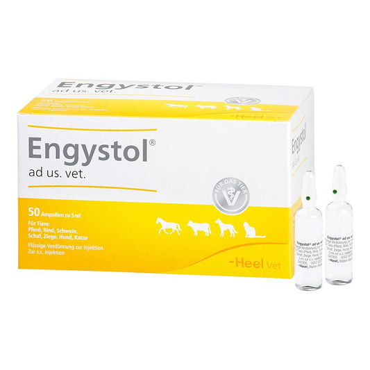 Das Produktfoto zeigt Engystol Ad Us.Vet.Ampullen (50 stk) PZN 02585068