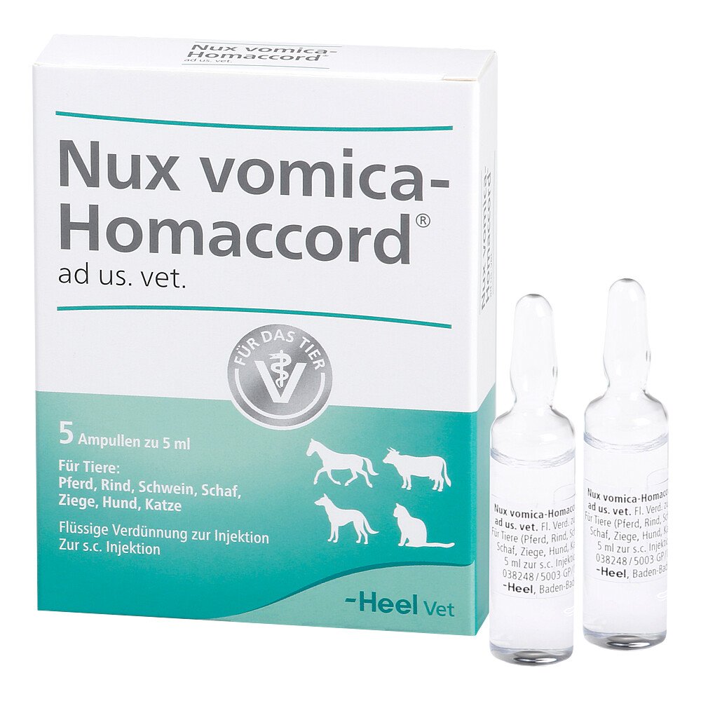 Das Produktfoto zeigt Nux Vomica Homaccord Ad Us.Vet.Ampullen (5 stk) PZN 02585074