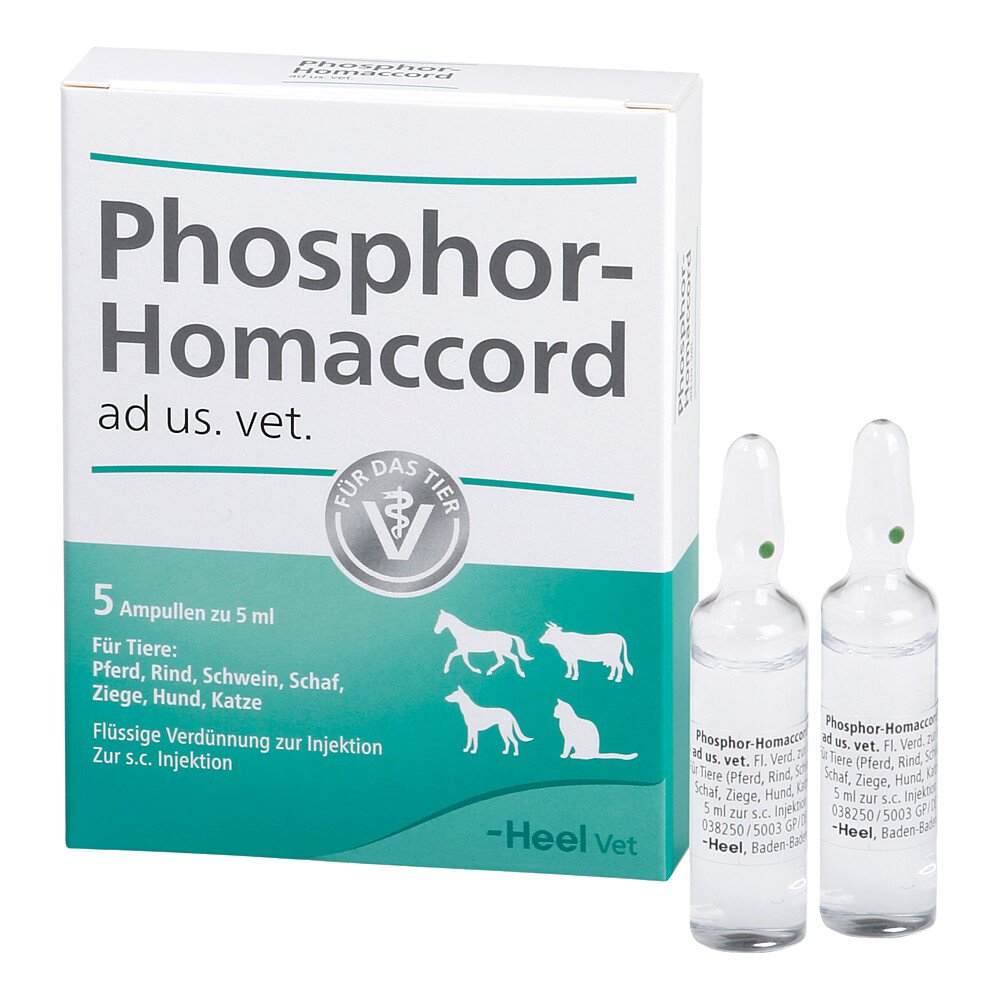 Das Produktfoto zeigt Phosphor Homaccord Ad Us.Vet.Ampullen (5 stk) PZN 02585097