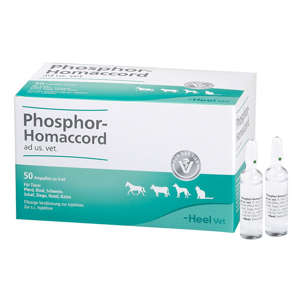 Das Produktfoto zeigt Phosphor Homaccord Ad Us.Vet.Ampullen (50 stk) PZN 02585105