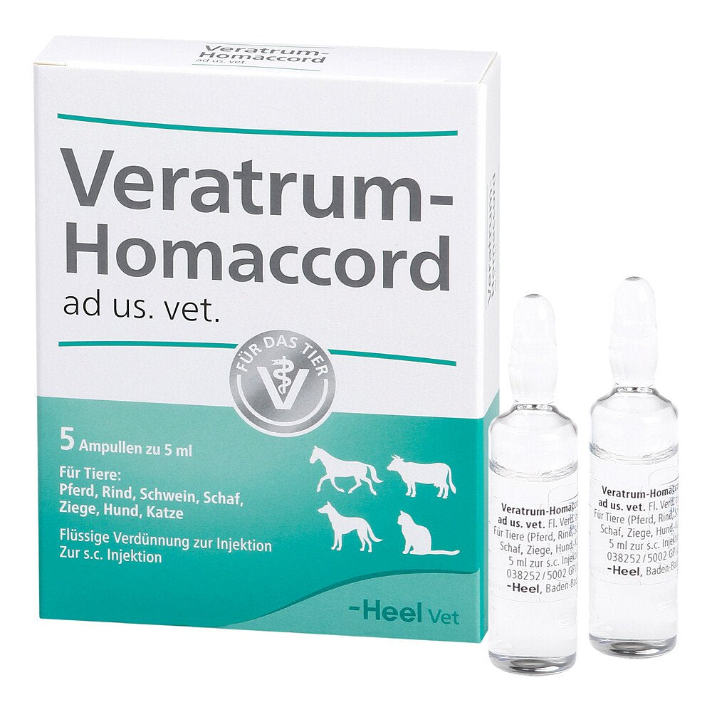 Das Produktfoto zeigt Veratrum Homaccord Ad Us.Vet.Ampullen (5 stk) PZN 02760198
