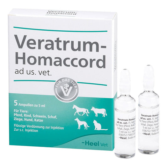 Das Produktfoto zeigt Veratrum Homaccord Ad Us.Vet.Ampullen (5 stk) PZN 02760198
