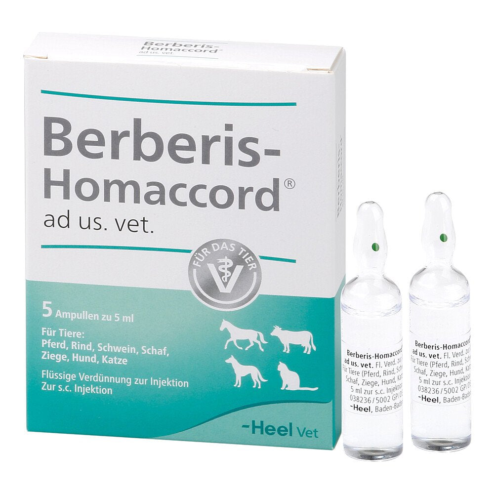 Das Produktfoto zeigt Berberis Homaccord Ad Us.Vet.Ampullen (5X5 ml) PZN 03042447