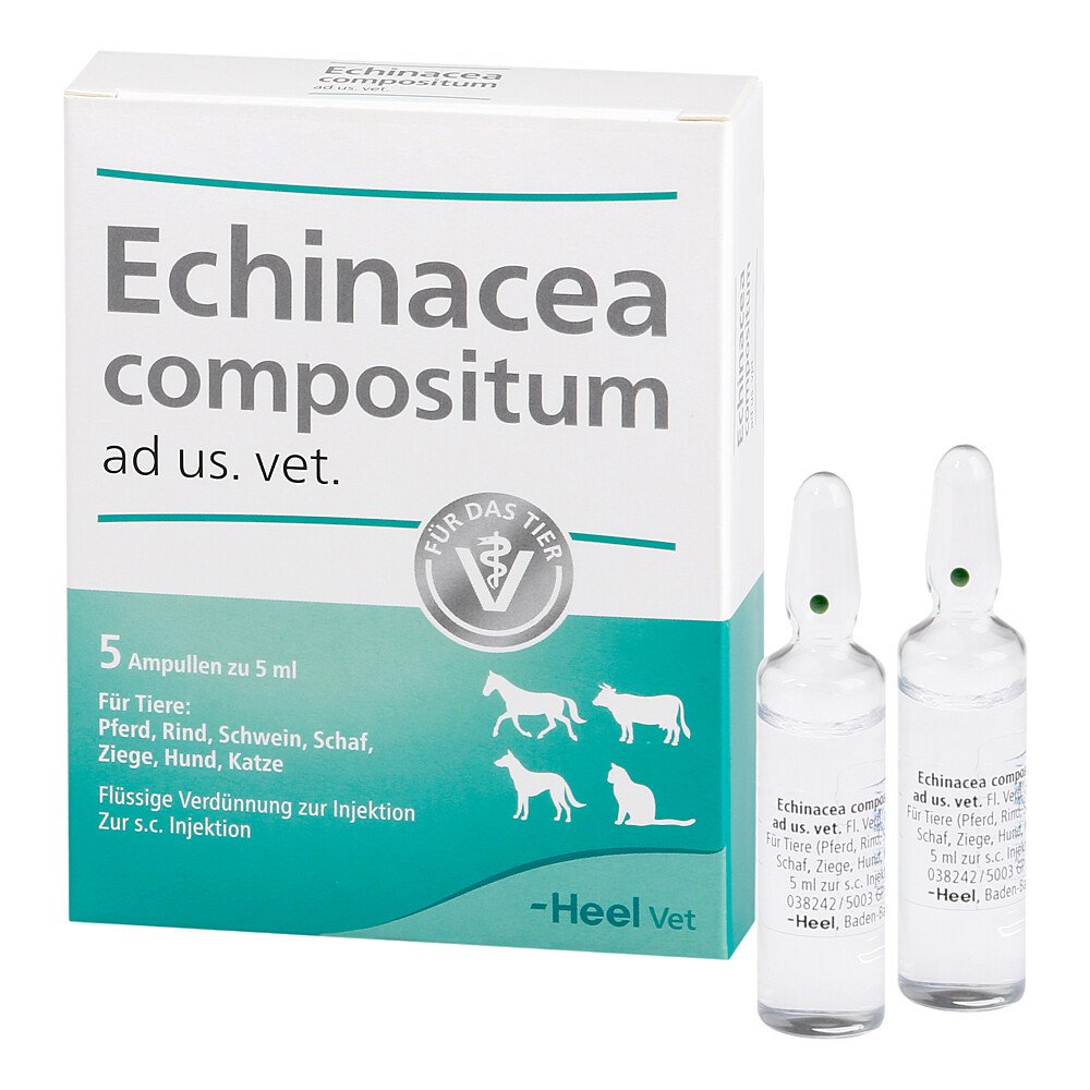 Das Produktfoto zeigt Echinacea Compositum Ad Us.Vet.Ampullen (5 stk) PZN 04749479