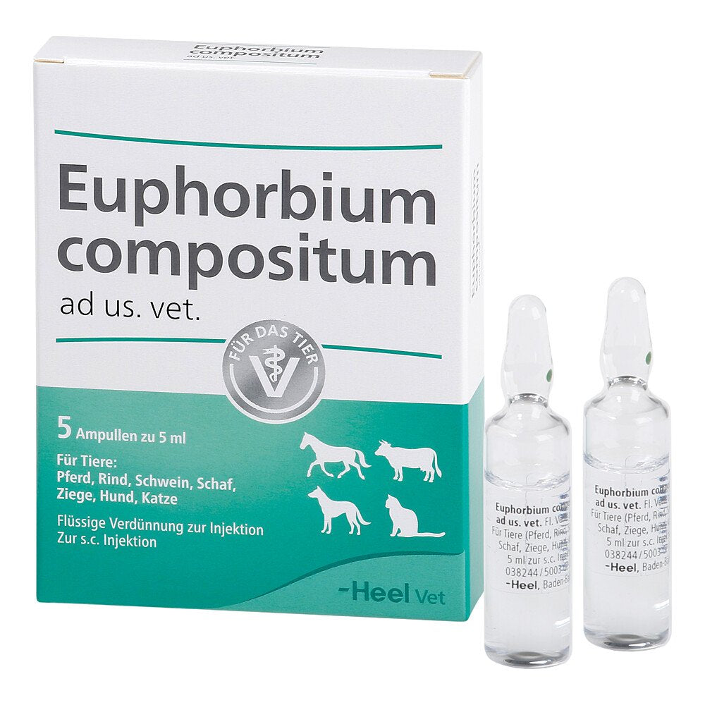 Das Produktfoto zeigt Euphorbium Compositum Ad Us.Vet.Ampullen (5X5 ml) PZN 04826961