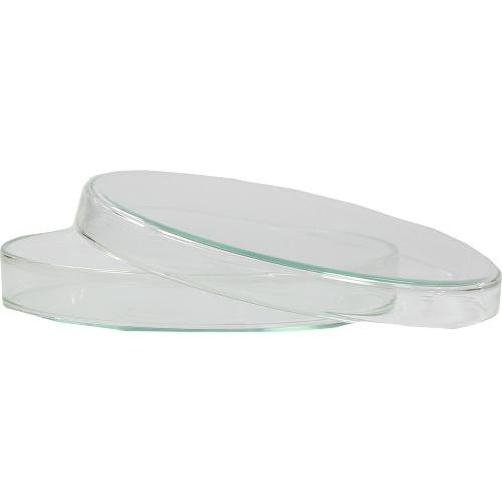 Das Produktfoto zeigt Petrischale 12 Cm (1 stk) PZN 04845734