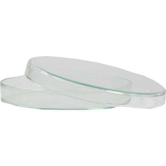 Das Produktfoto zeigt Petrischale 12 Cm (1 stk) PZN 04845734