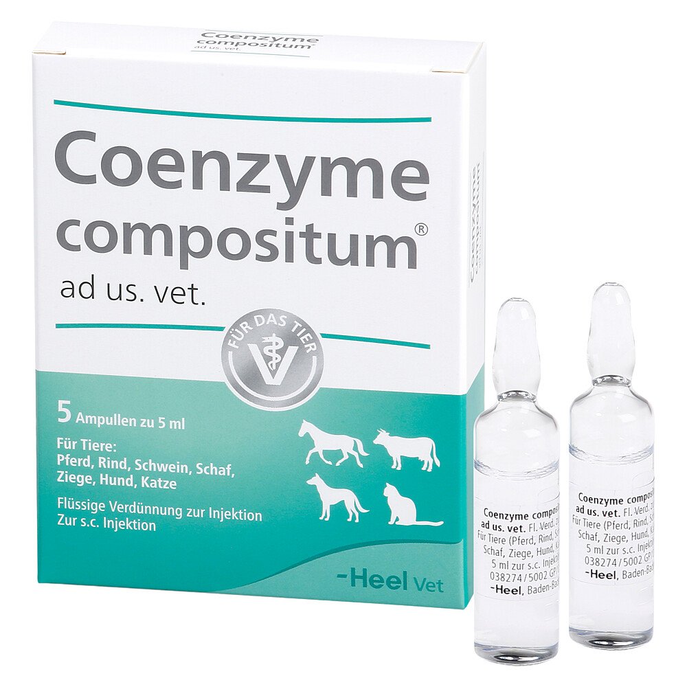 Das Produktfoto zeigt Coenzyme Compositum Ad Us.Vet.Ampullen (5X5 ml) PZN 04871358