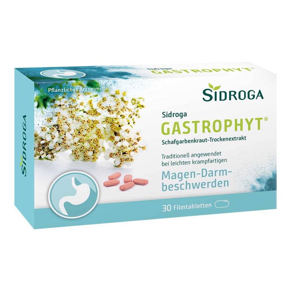 Das Produktfoto zeigt Sidroga Gastrophyt 250 Mg Filmtabletten (30 stk) PZN 17306588
